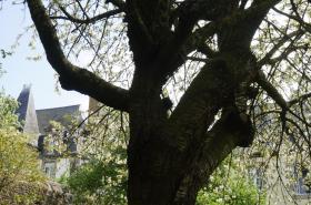 Manoir 1685 Saint Malo - photo 16
