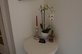 Manoir 1685 Saint Malo - photo 14