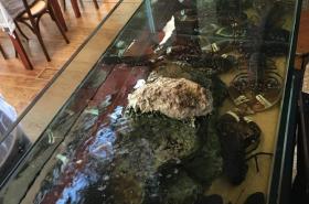 Hotel Brasserie Armoricaine - photo 6