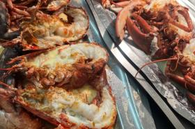 Hotel Brasserie Armoricaine - photo 25