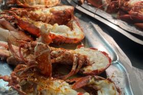 Hotel Brasserie Armoricaine - photo 26