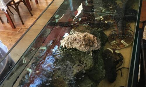 Hotel Brasserie Armoricaine - photo 3