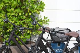 Hôtel Otonali - photo 10