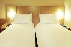 ibis Saint Malo Madeleine - photo 16