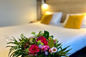 ibis Saint Malo Madeleine - photo 20