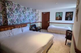 Manoir Du Cunningham - photo 21