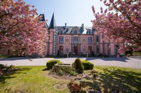 Château Hôtel Du Colombier - photo 13