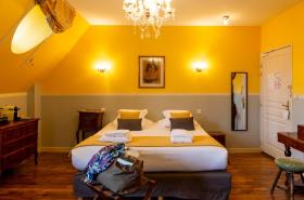 Château Hôtel Du Colombier - photo 16